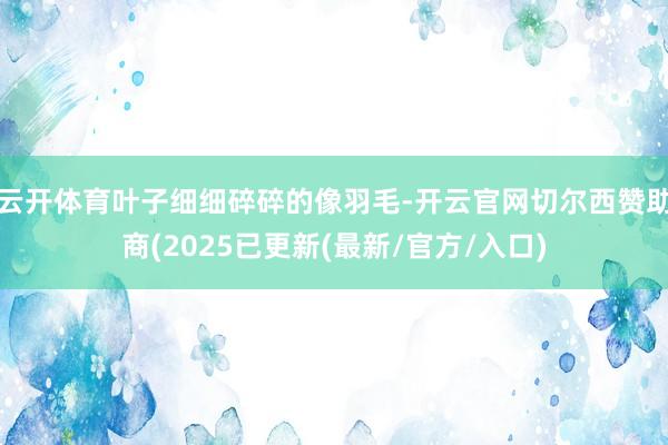 云开体育叶子细细碎碎的像羽毛-开云官网切尔西赞助商(2025已更新(最新/官方/入口)