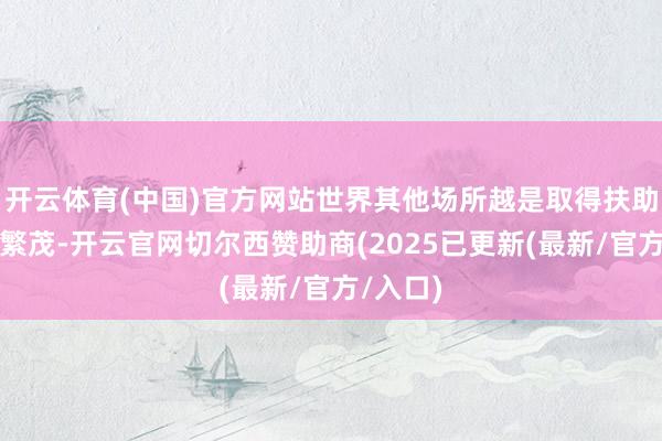 开云体育(中国)官方网站世界其他场所越是取得扶助、越是繁茂-开云官网切尔西赞助商(2025已更新(最新/官方/入口)
