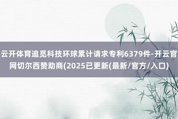 云开体育追觅科技环球累计请求专利6379件-开云官网切尔西赞助商(2025已更新(最新/官方/入口)
