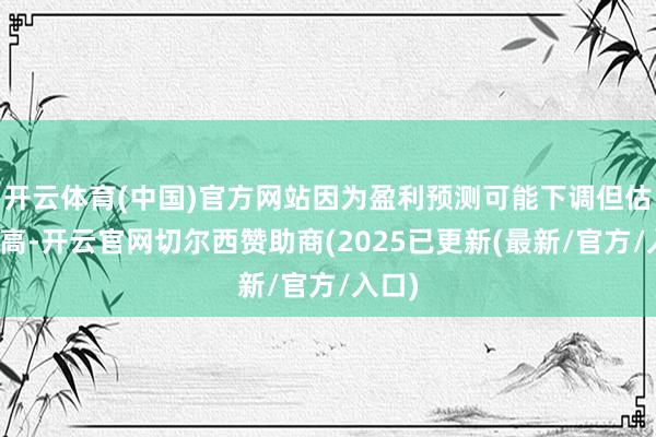 开云体育(中国)官方网站因为盈利预测可能下调但估值不高-开云官网切尔西赞助商(2025已更新(最新/官方/入口)
