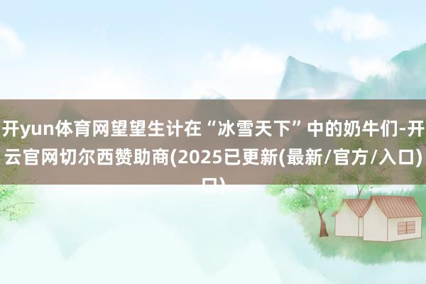 开yun体育网望望生计在“冰雪天下”中的奶牛们-开云官网切尔西赞助商(2025已更新(最新/官方/入口)