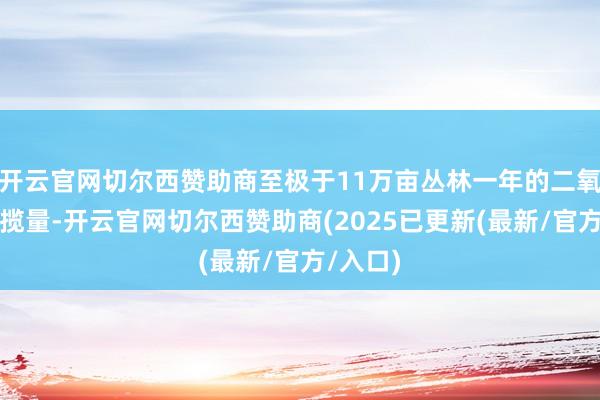 开云官网切尔西赞助商至极于11万亩丛林一年的二氧化碳招揽量-开云官网切尔西赞助商(2025已更新(最新/官方/入口)