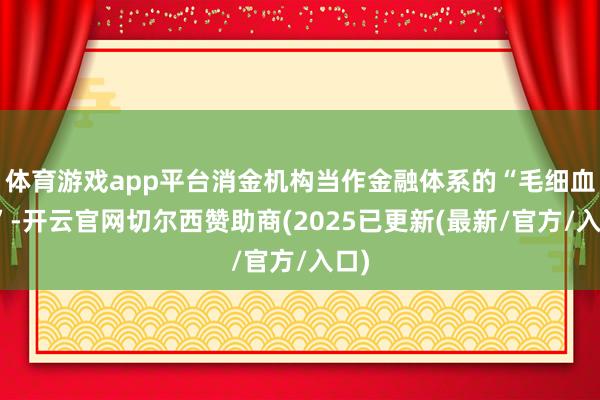 体育游戏app平台消金机构当作金融体系的“毛细血管”-开云官网切尔西赞助商(2025已更新(最新/官方/入口)