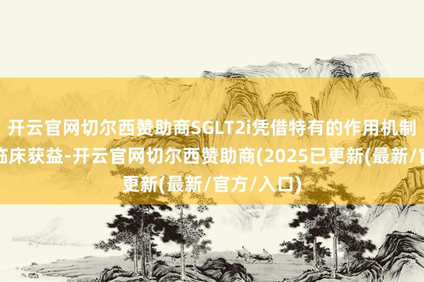 开云官网切尔西赞助商SGLT2i凭借特有的作用机制与显耀的临床获益-开云官网切尔西赞助商(2025已更新(最新/官方/入口)