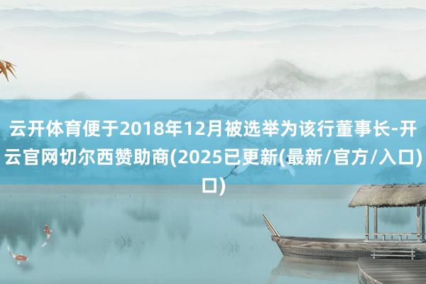 云开体育便于2018年12月被选举为该行董事长-开云官网切尔西赞助商(2025已更新(最新/官方/入口)