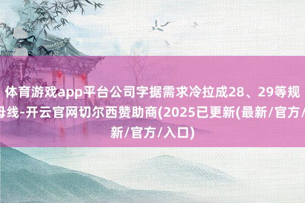 体育游戏app平台公司字据需求冷拉成28、29等规格的母线-开云官网切尔西赞助商(2025已更新(最新/官方/入口)