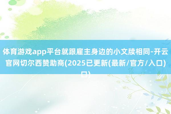 体育游戏app平台就跟雇主身边的小文牍相同-开云官网切尔西赞助商(2025已更新(最新/官方/入口)