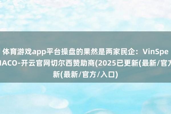 体育游戏app平台操盘的果然是两家民企：VinSpeed和THACO-开云官网切尔西赞助商(2025已更新(最新/官方/入口)
