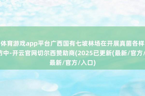 体育游戏app平台广西国有七坡林场在开展真菌各样性探访中-开云官网切尔西赞助商(2025已更新(最新/官方/入口)